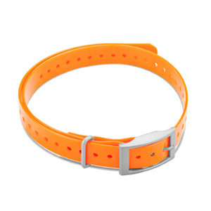 Hundehalsband Orange (1,9 cm)